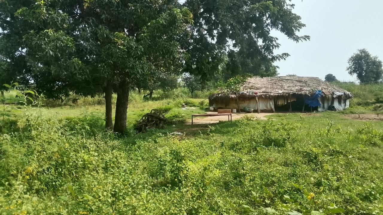 Plot in Purkhoo — photo 4