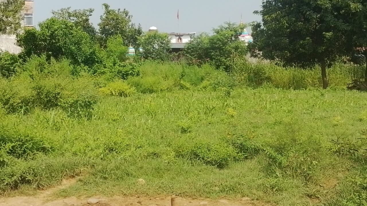 Plot in Purkhoo — photo 2