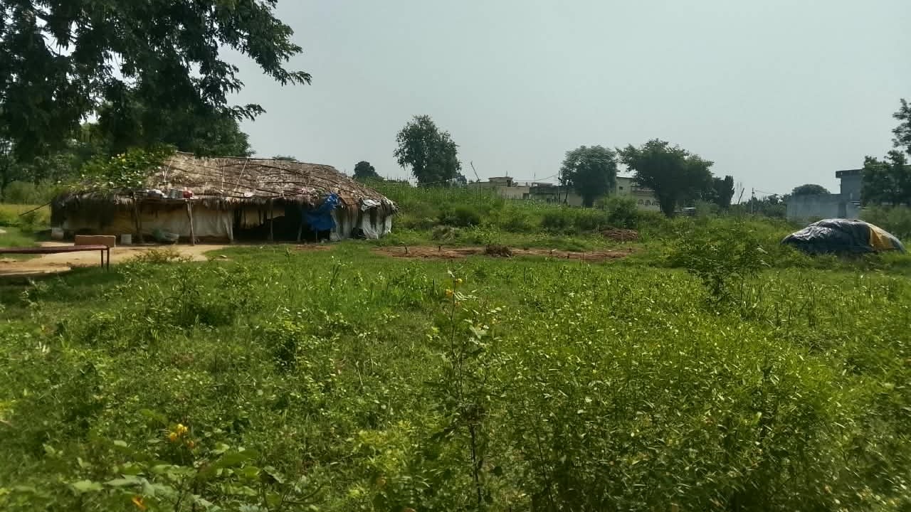 Plot in Purkhoo — photo 5