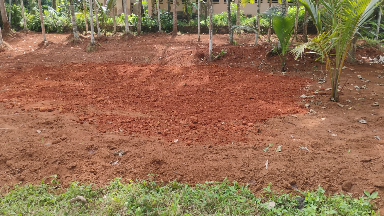 Plot in Kerala Khadi And Village Industries Board — photo 6