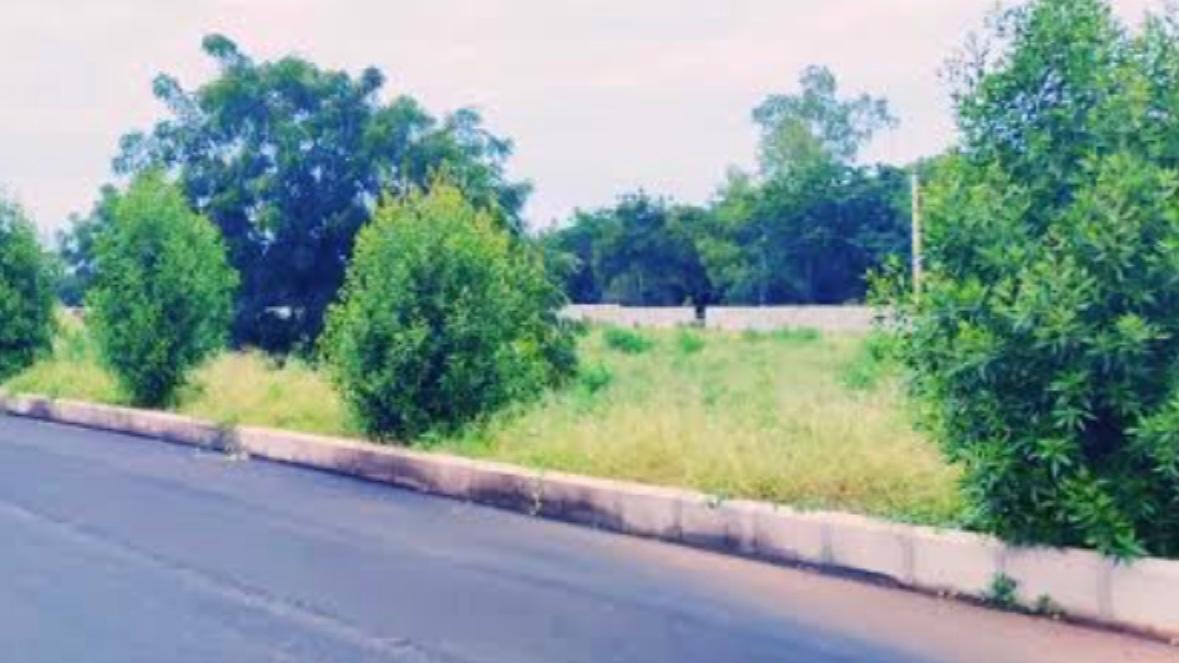 Plot in Rampur — photo 6