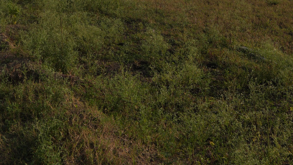neelbad — photo 1