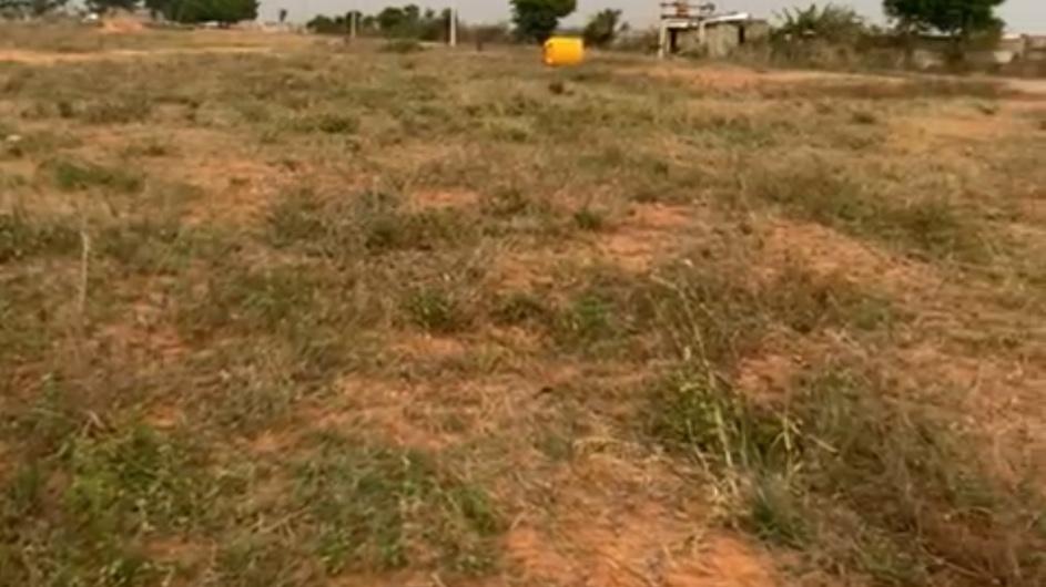 Agricultural Land in BhadraKali Farms — photo 1