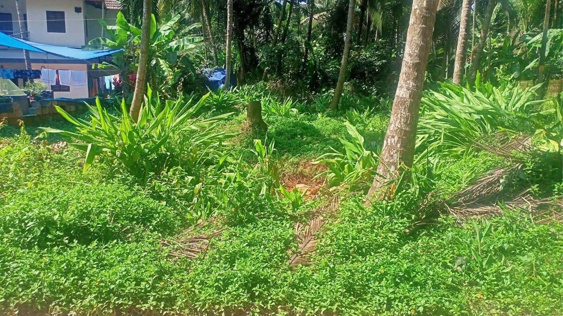 Plot At Kolassery — photo 9