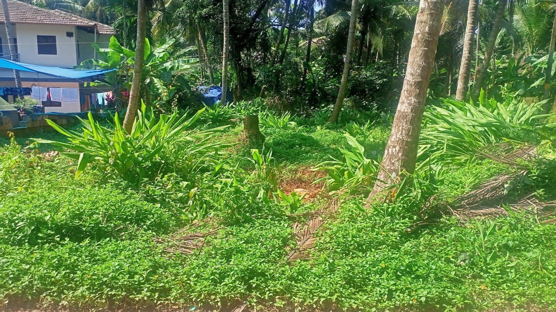 Plot At Kolassery — photo 7