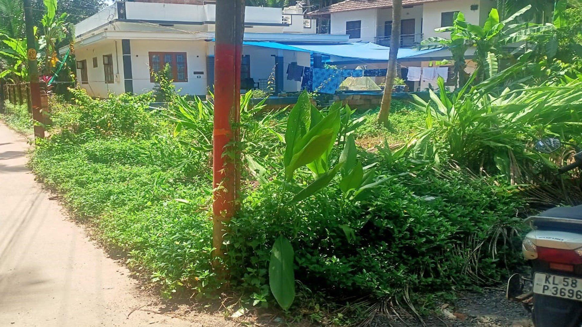 Plot At Kolassery — photo 6