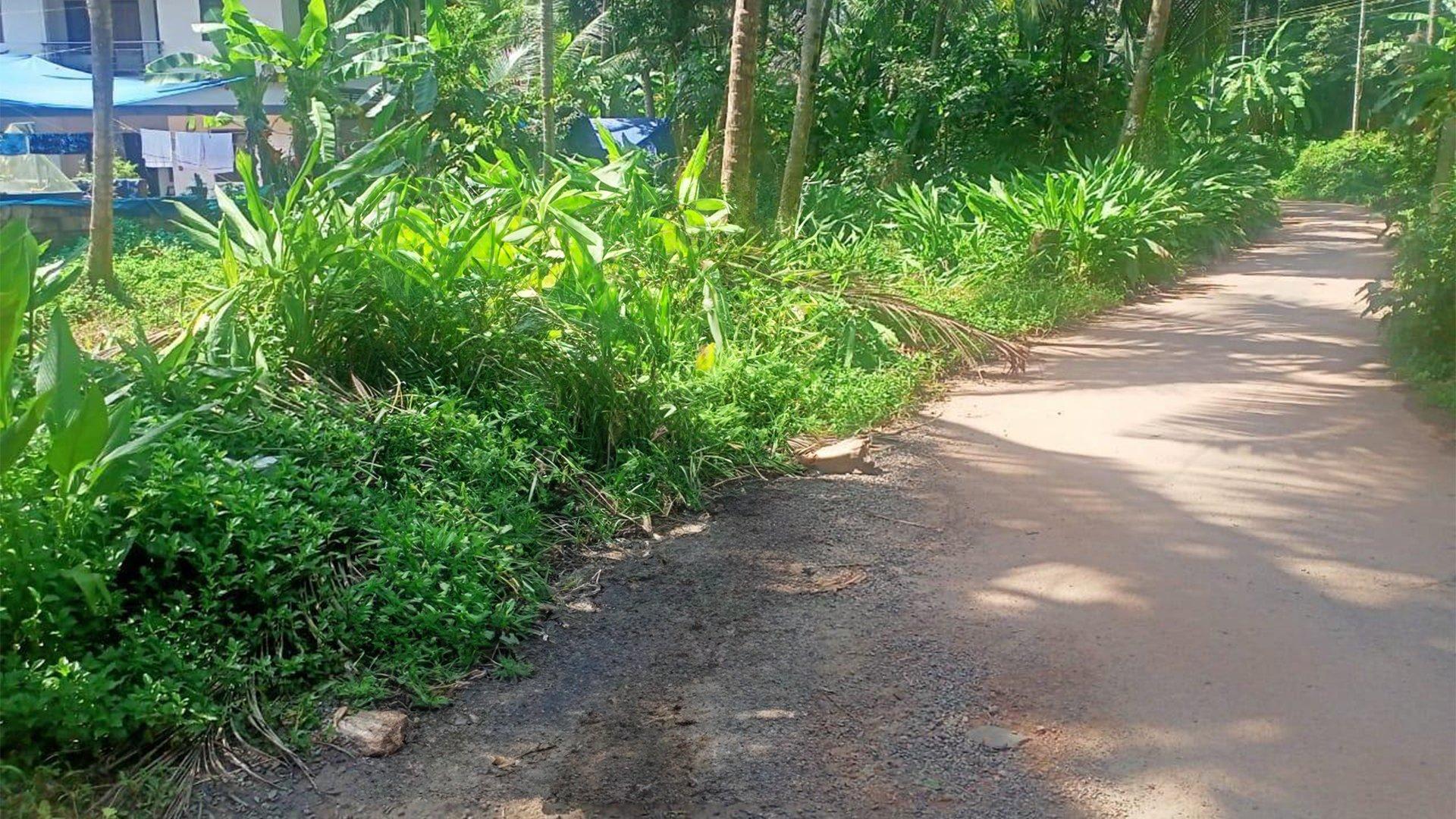 Plot At Kolassery — photo 2