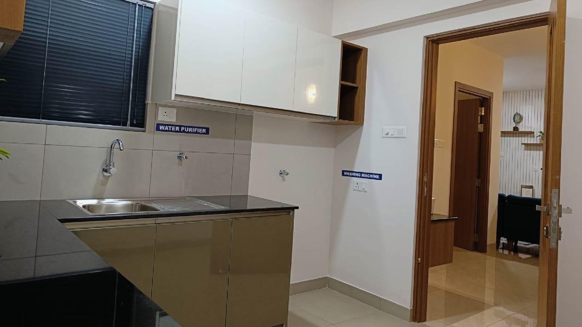 Bamboo Park -11 - Image 4