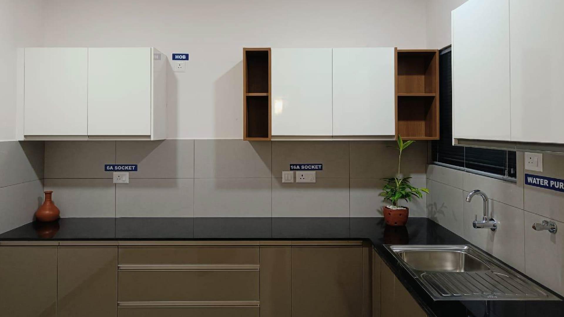 Bamboo Park -11 - Image 5