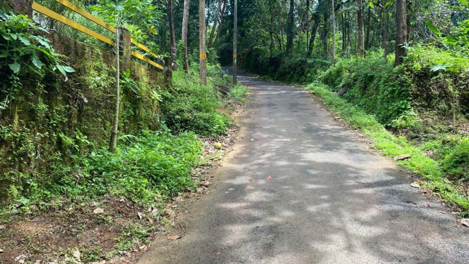 Iritty Plot For Sale — photo 9