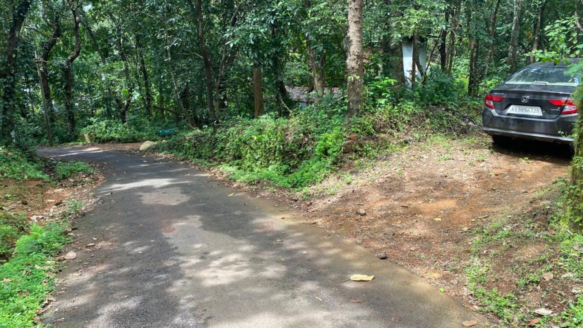 Iritty Plot For Sale - Image 6