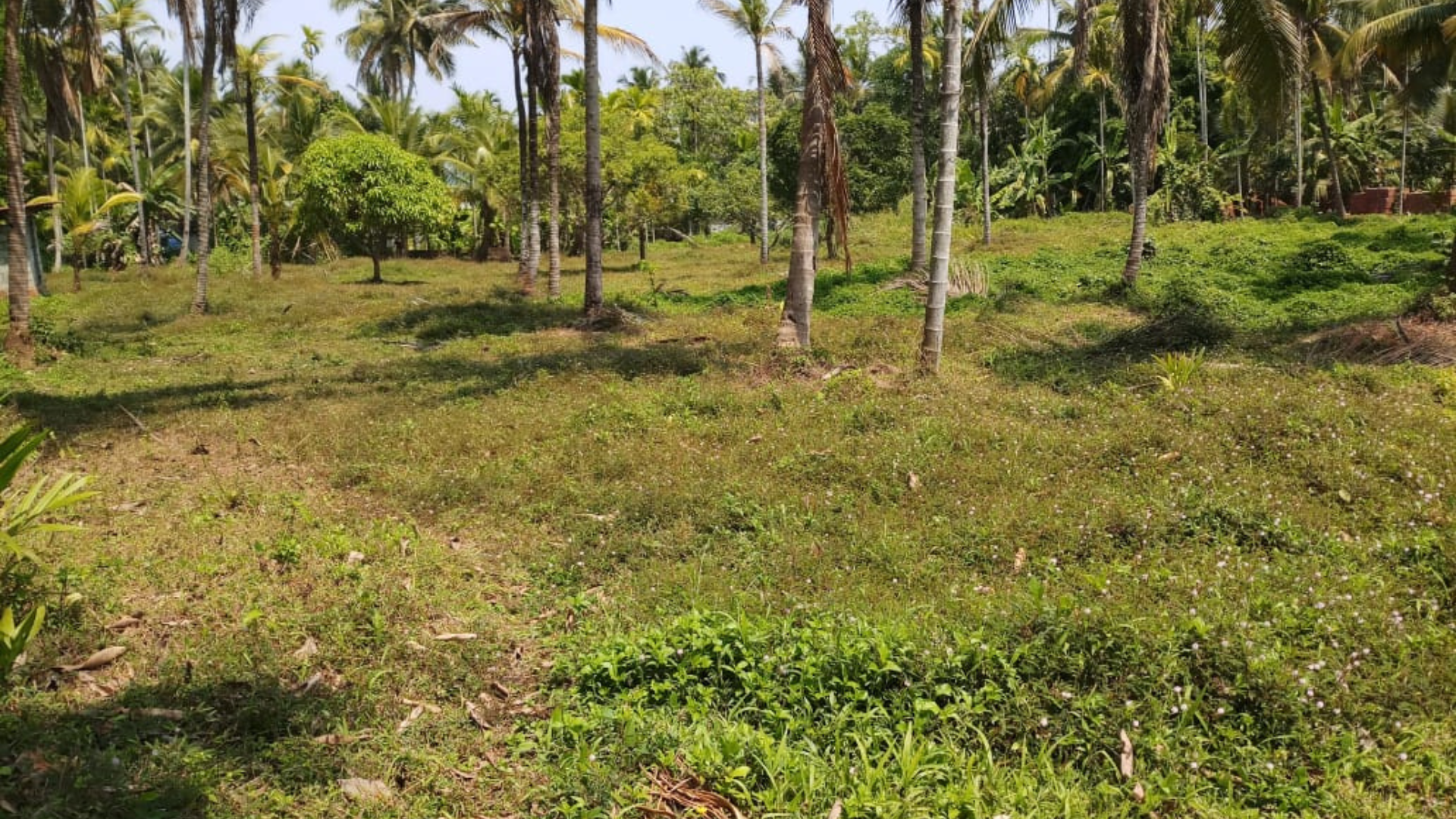 Plot at Moozhikkara - Image 2