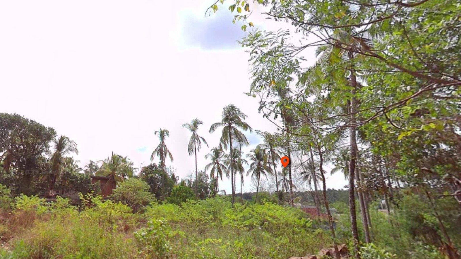 Jonas Villa - Image 6