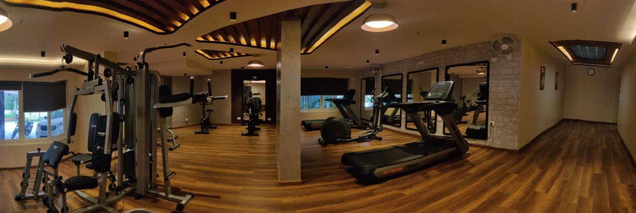 Treedom Park - Image 3