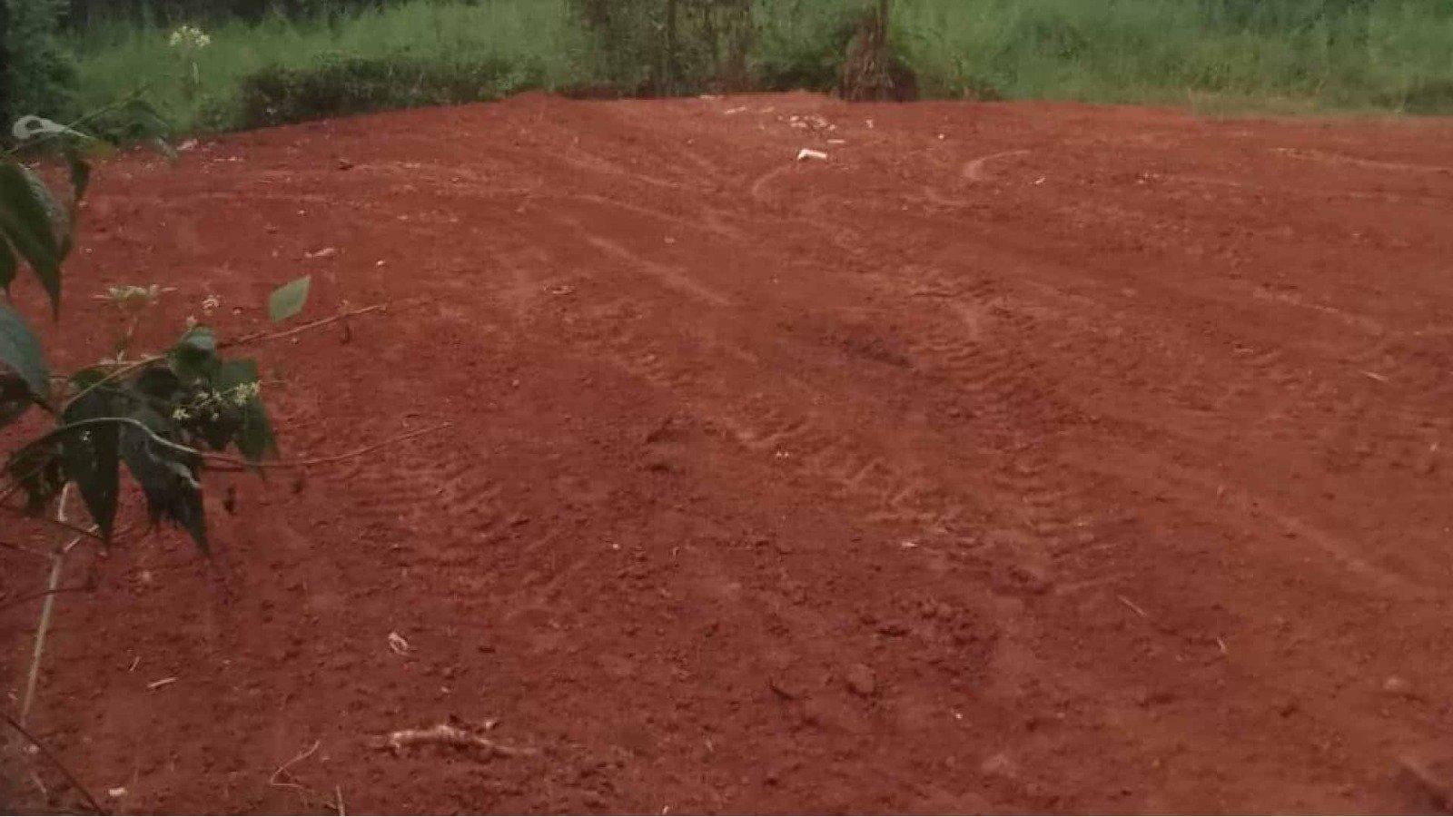 Plot At Podikkundu — photo 10