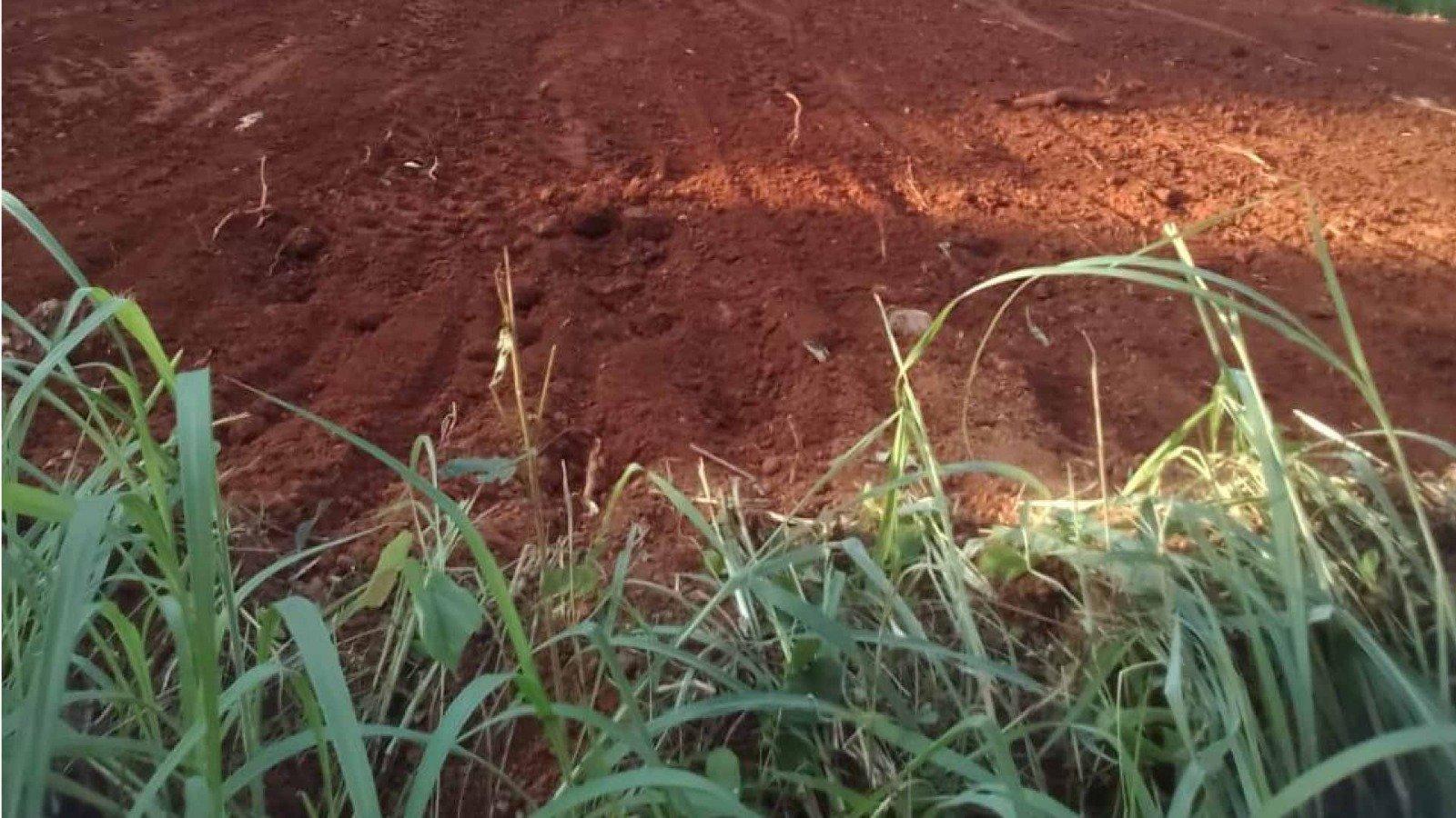 Plot At Podikkundu — photo 8