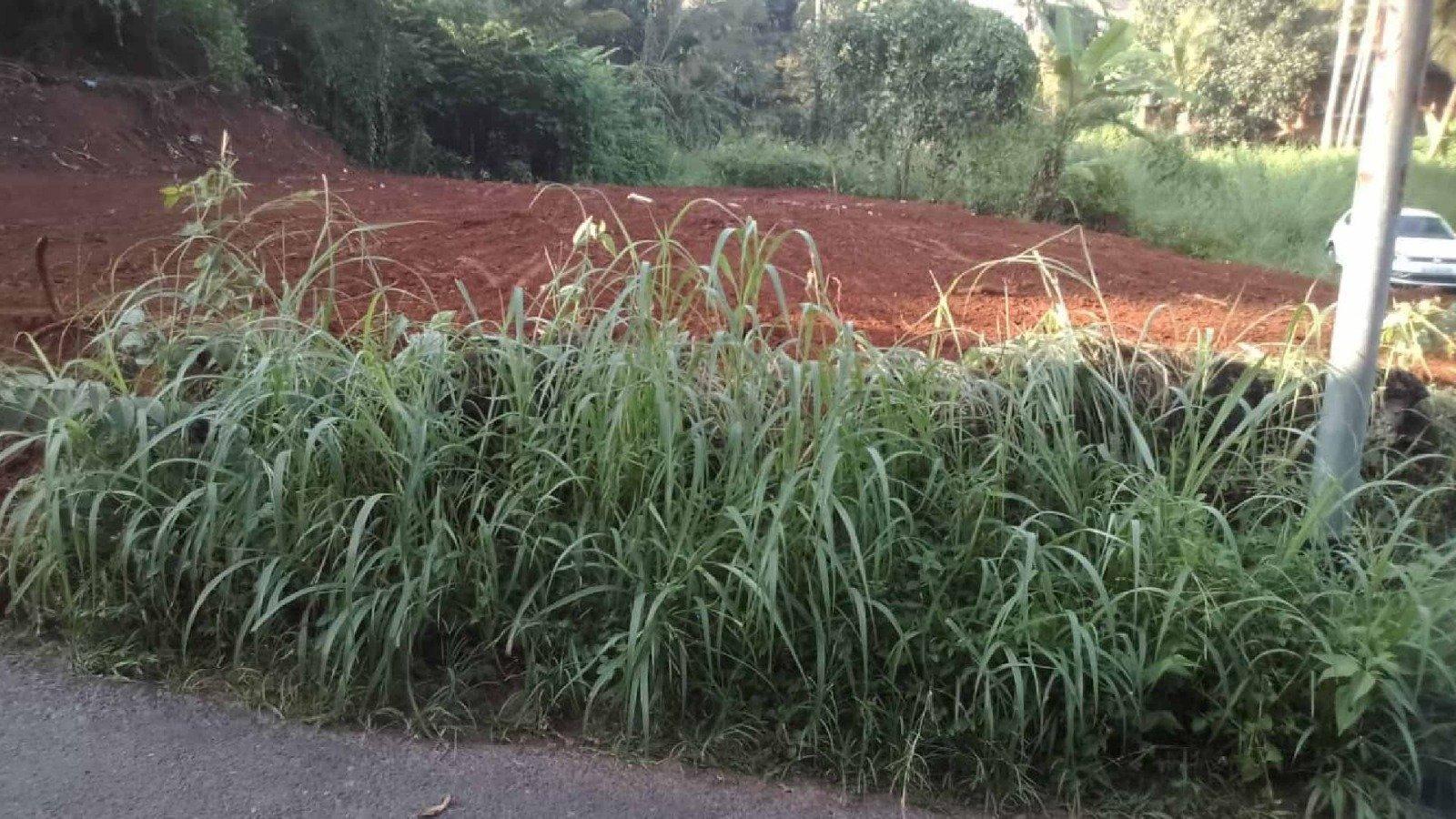 Plot At Podikkundu — photo 7