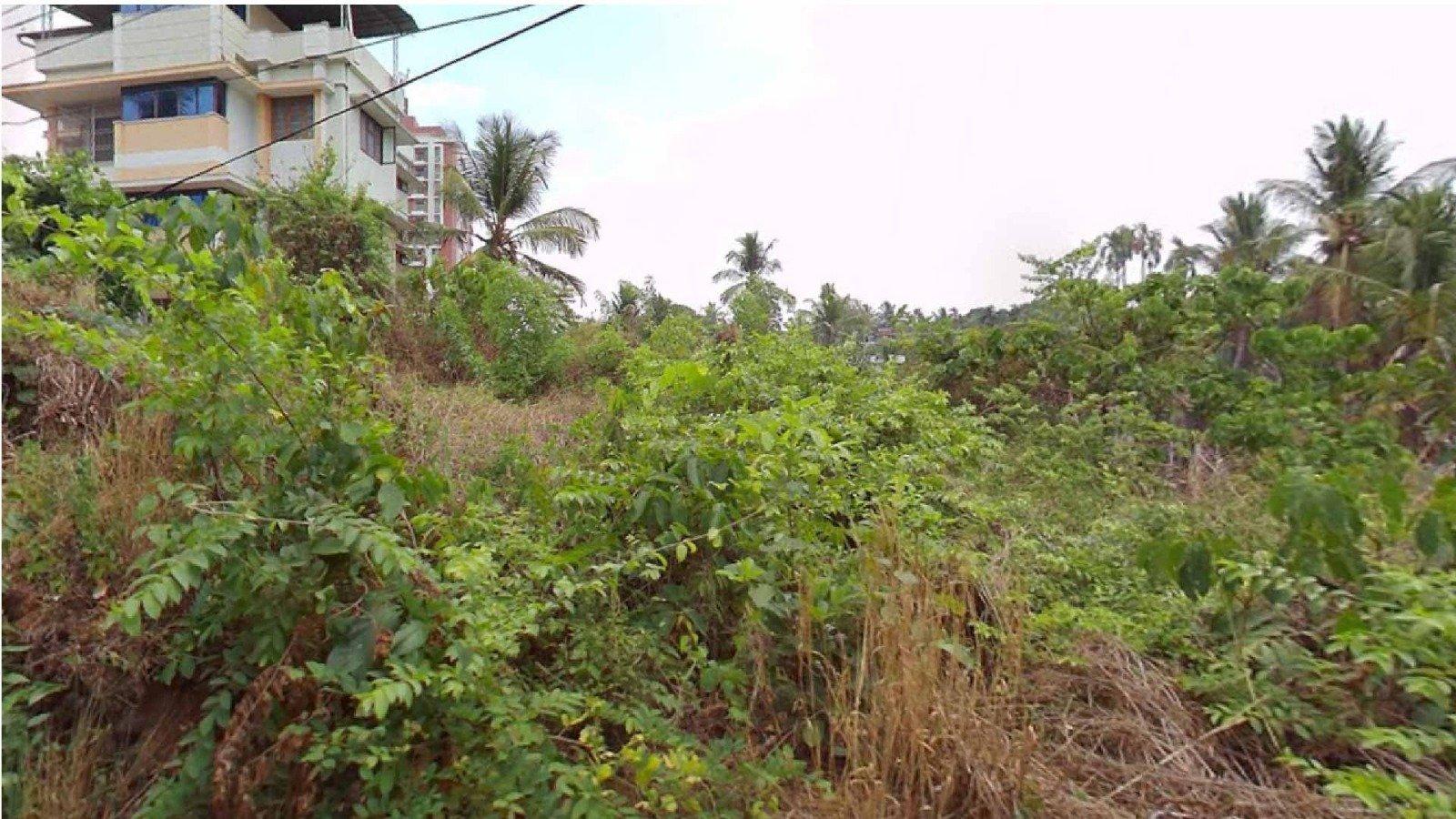 Plot At Podikkundu - Image 2