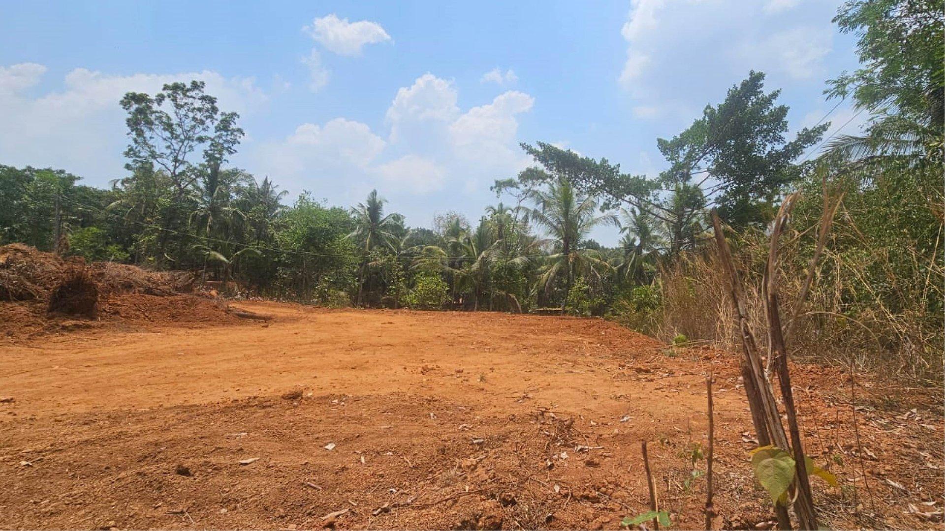 Serene Valley - Image 5