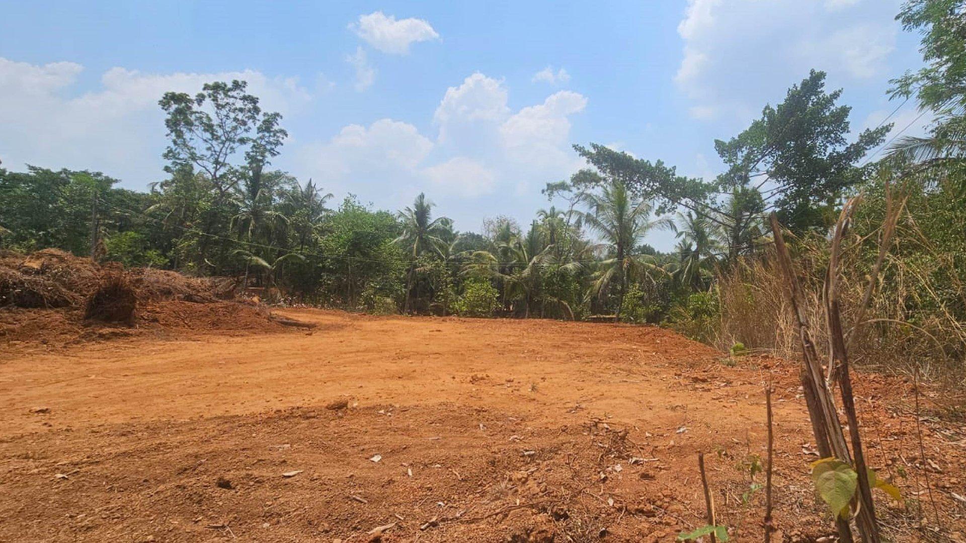 Serene Valley - Image 6