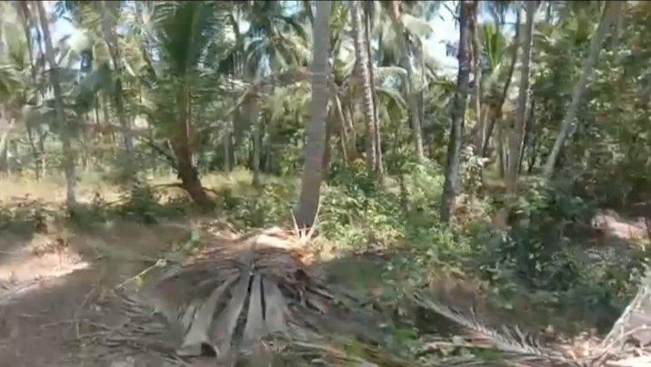 Plot at Pinarayi - Image 2