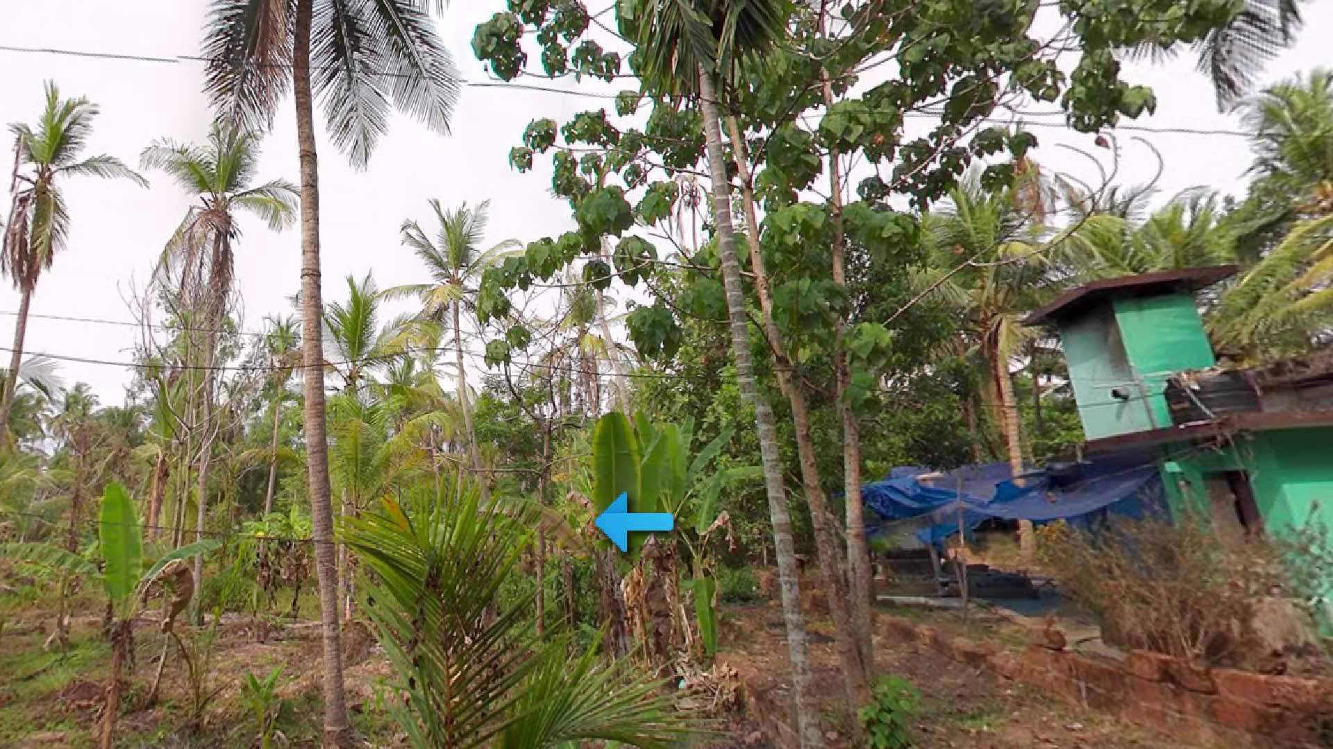 Plot at Pinarayi — photo 10