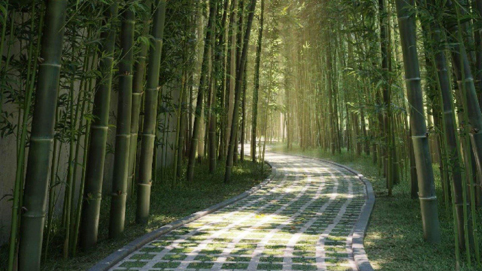 Ridge Whispering Hills - Image 4