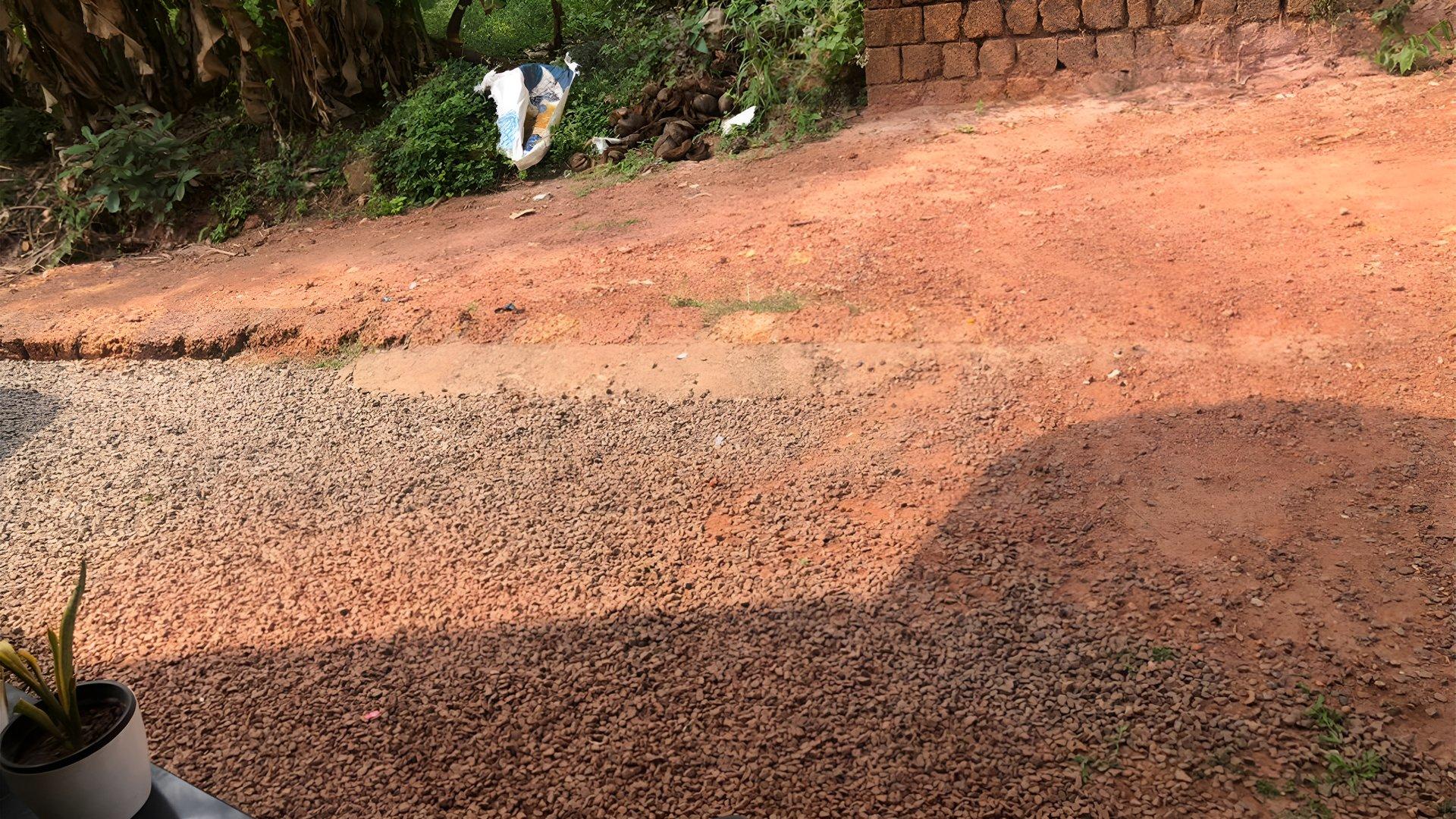 House At Vellachal - Image 2