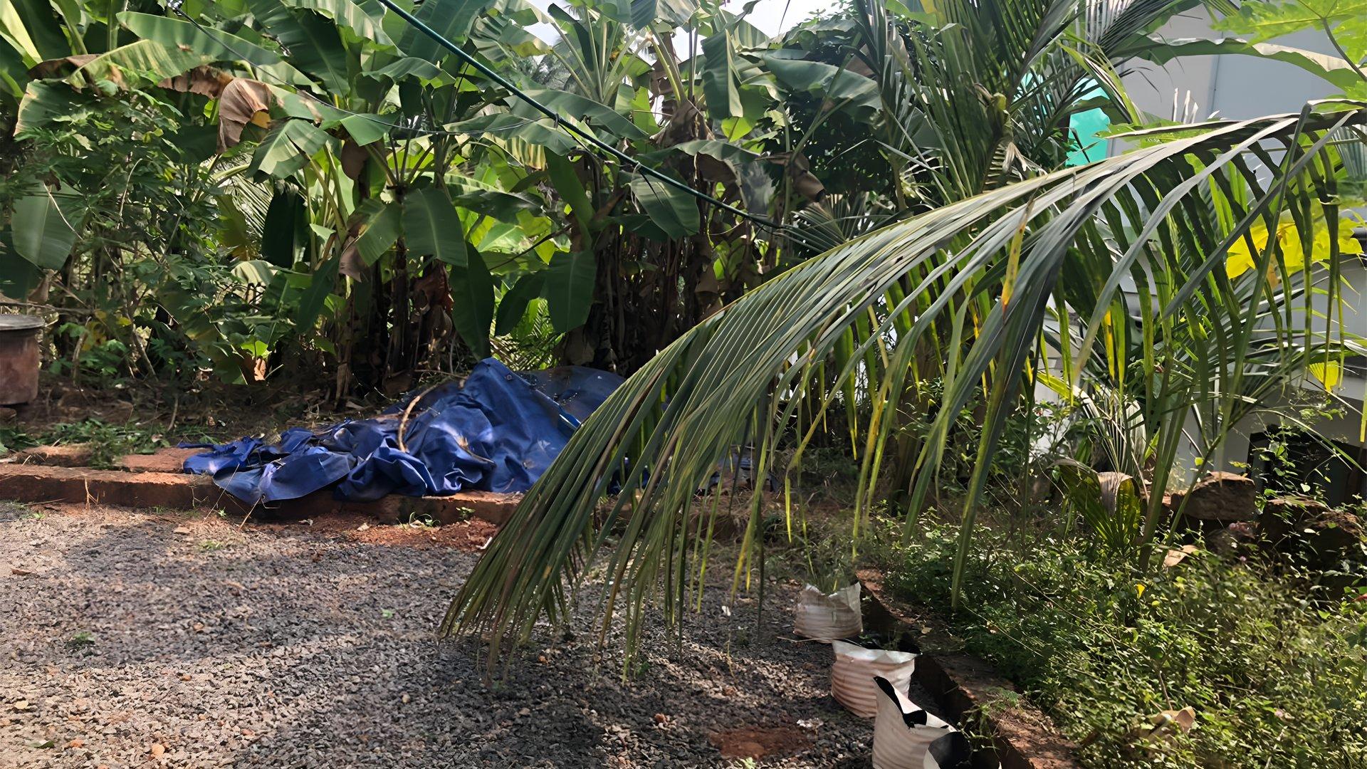 House At Vellachal - Image 5