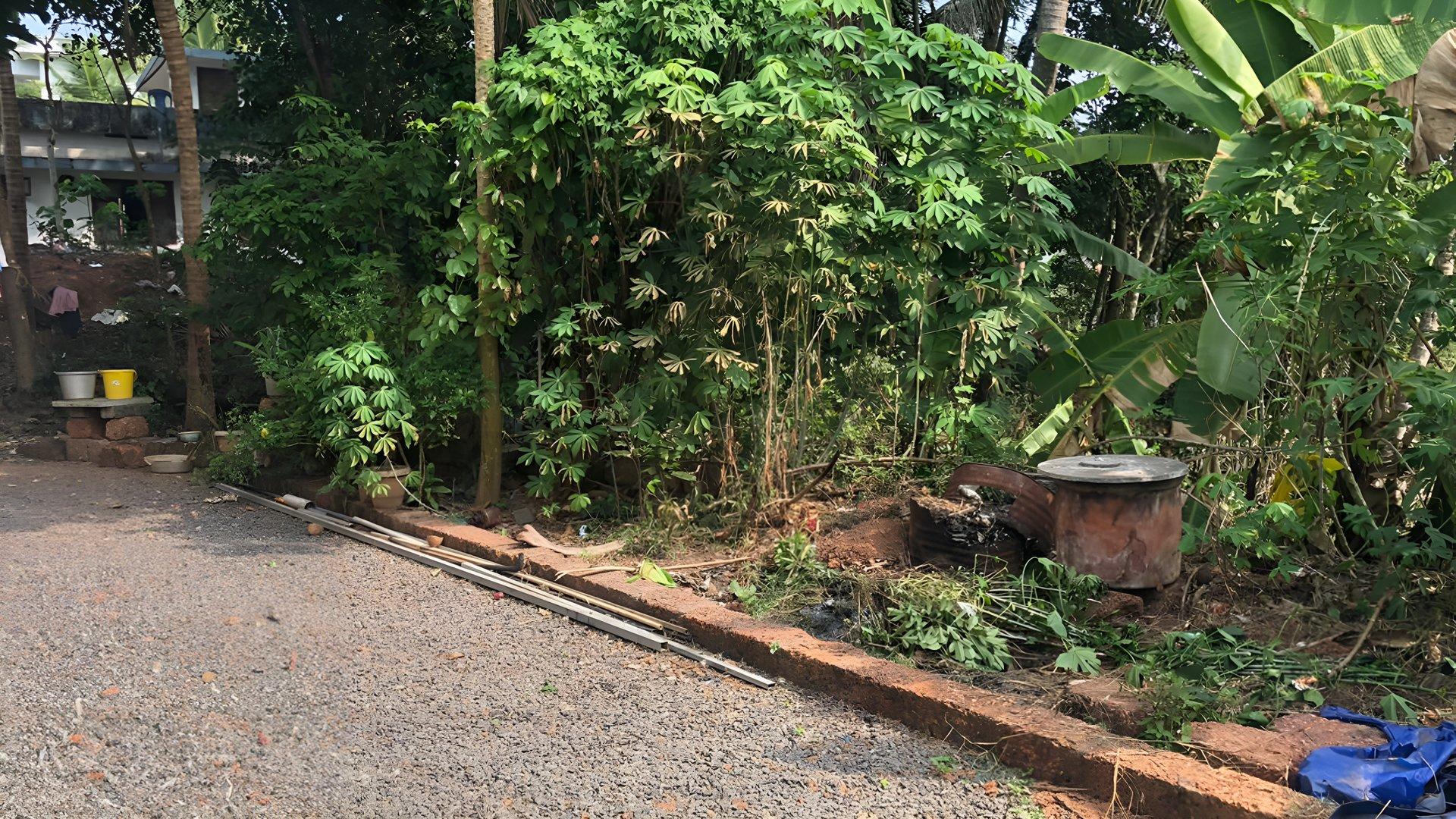 House At Vellachal — photo 7