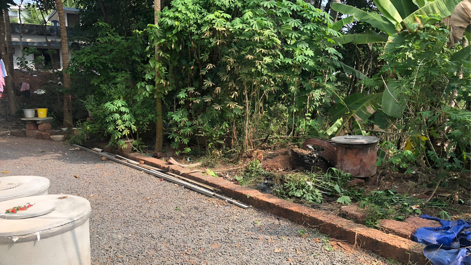 House At Vellachal — photo 8