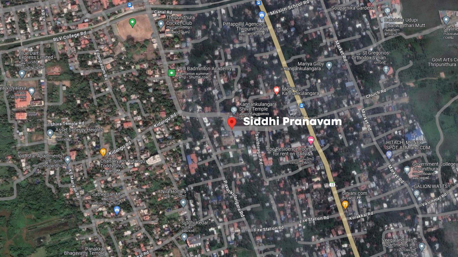 Siddhi Pranavam — photo 16