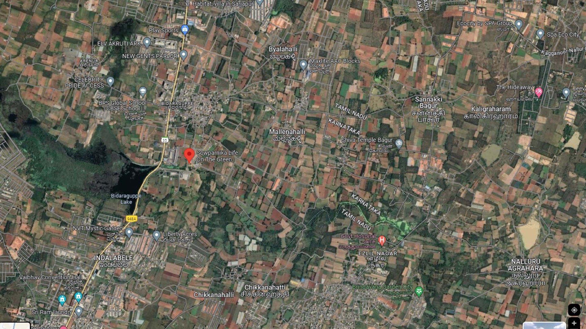 Life On The Green - Image 6