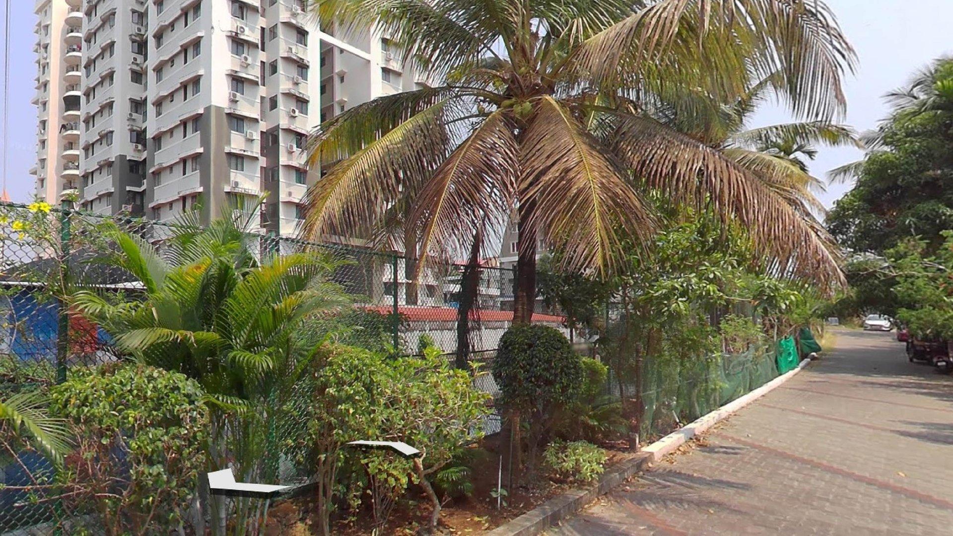 Asian Avenue — photo 15