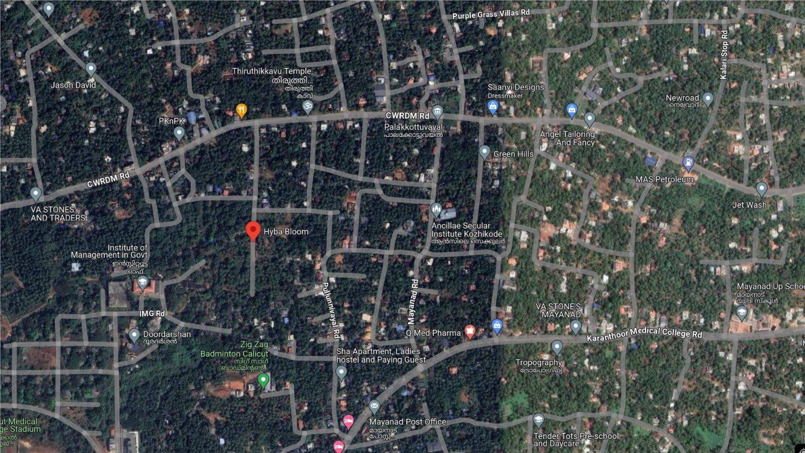 Hyba Bloom - Image 6