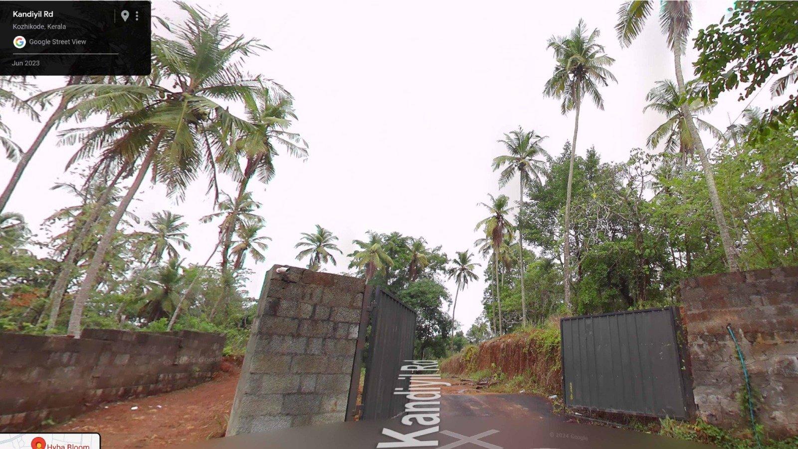 Hyba Bloom - Image 5