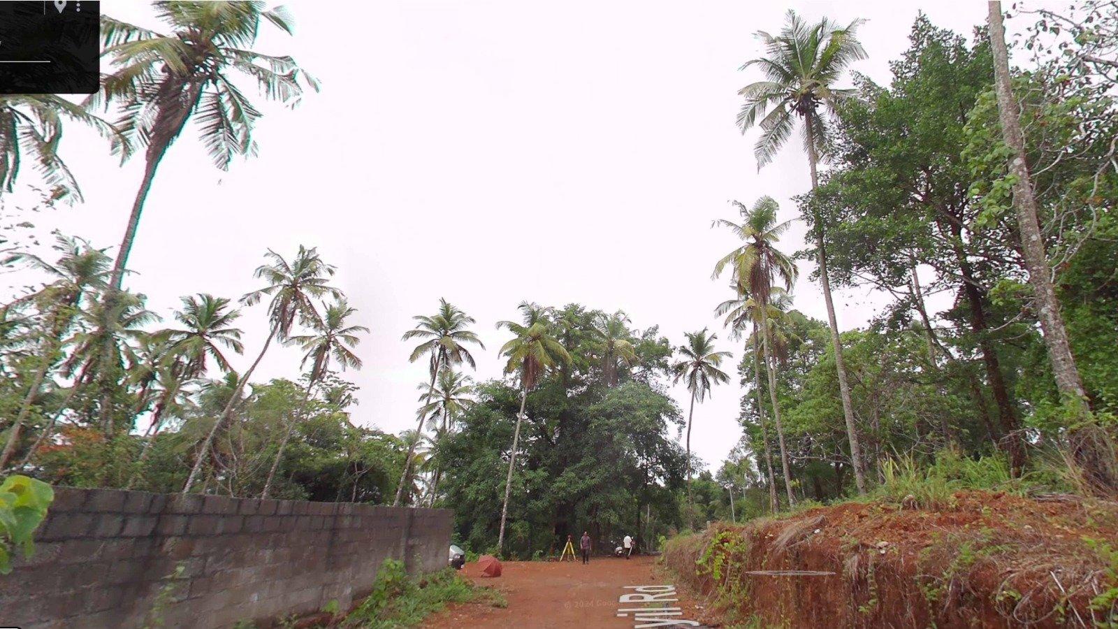 Hyba Bloom - Image 4