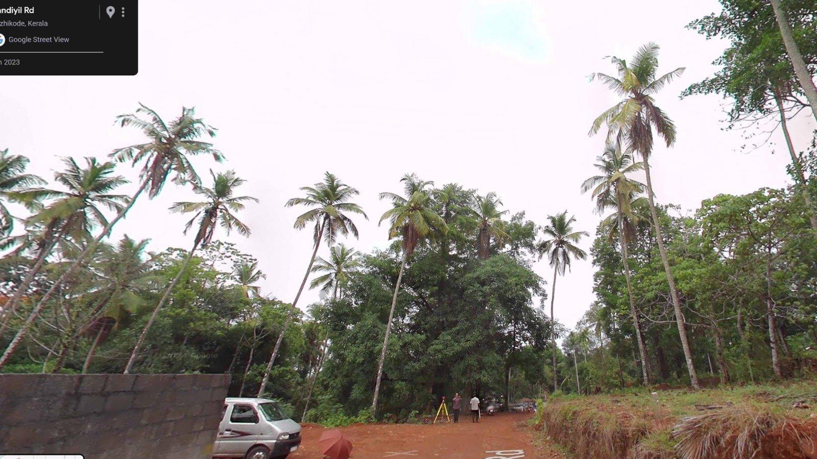 Hyba Bloom - Image 3