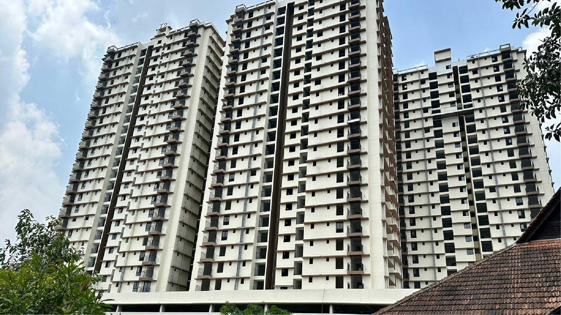 One Cochin - Image 5