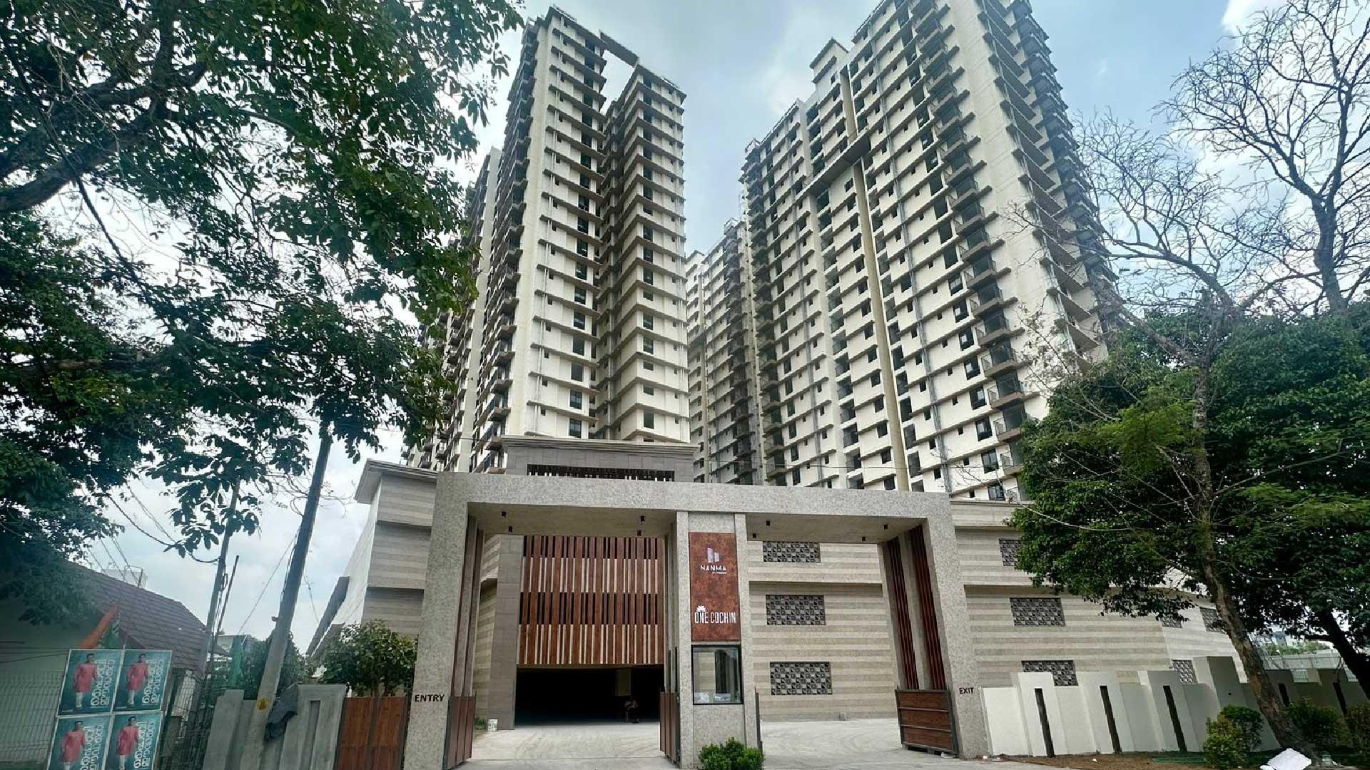 One Cochin - Image 6