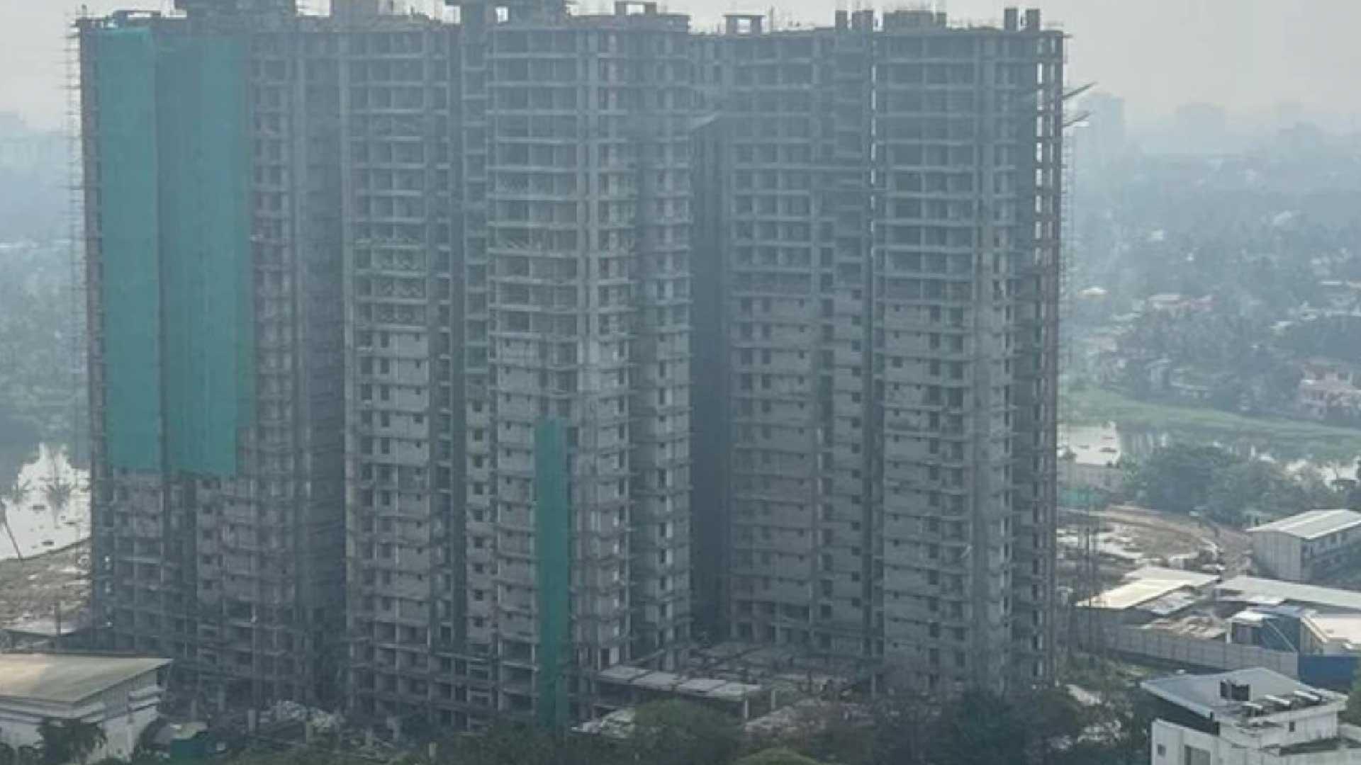 One Cochin - Image 3