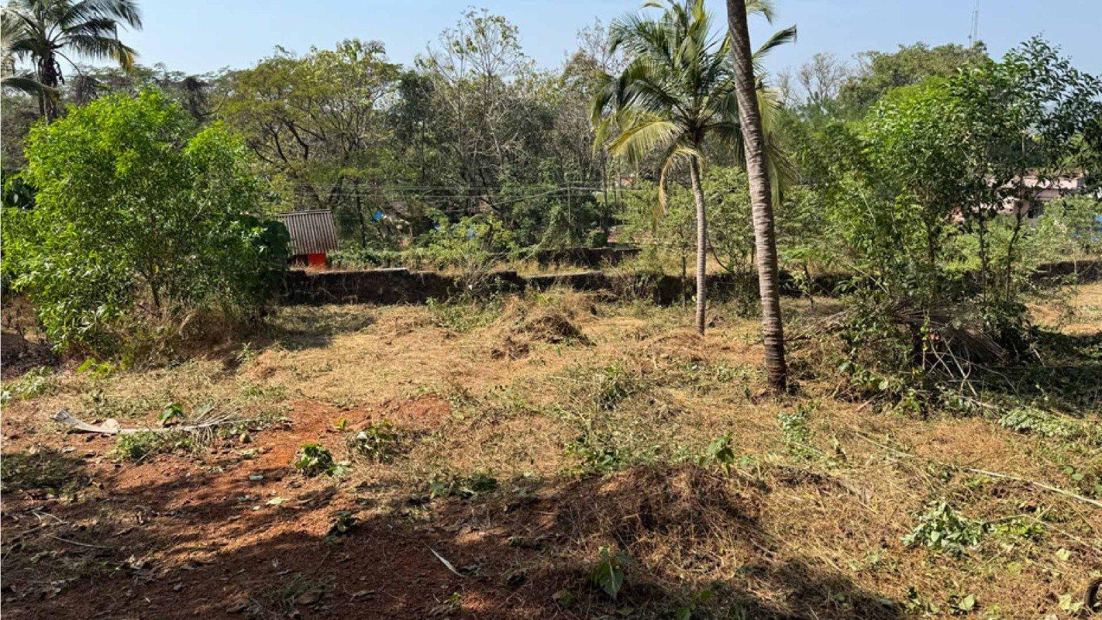 Plot At Mavunkal — photo 10