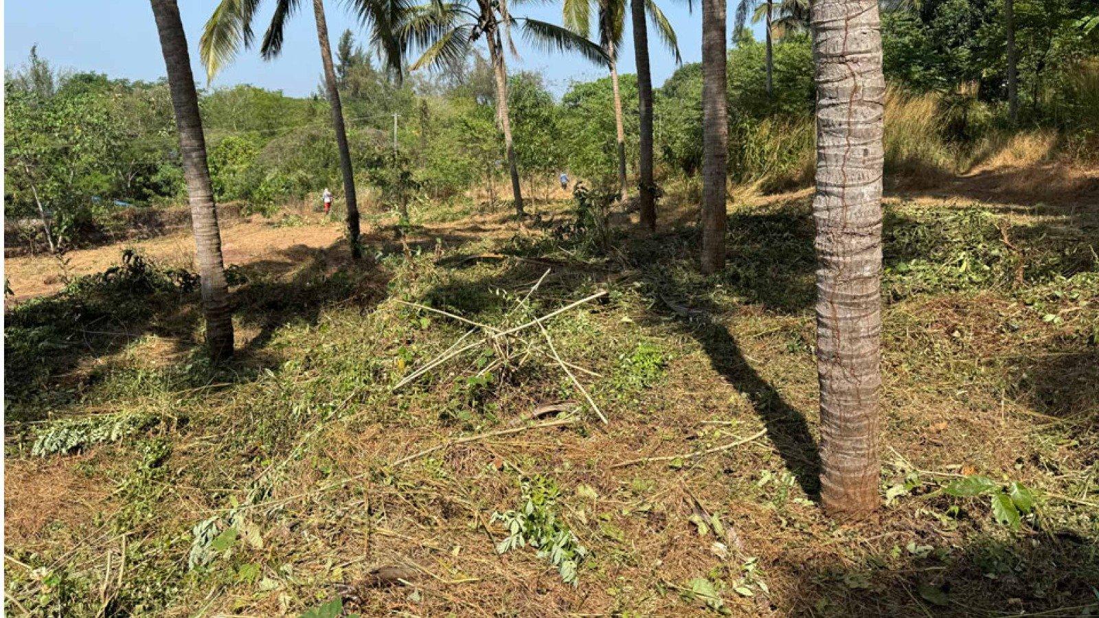 Plot At Mavunkal — photo 7