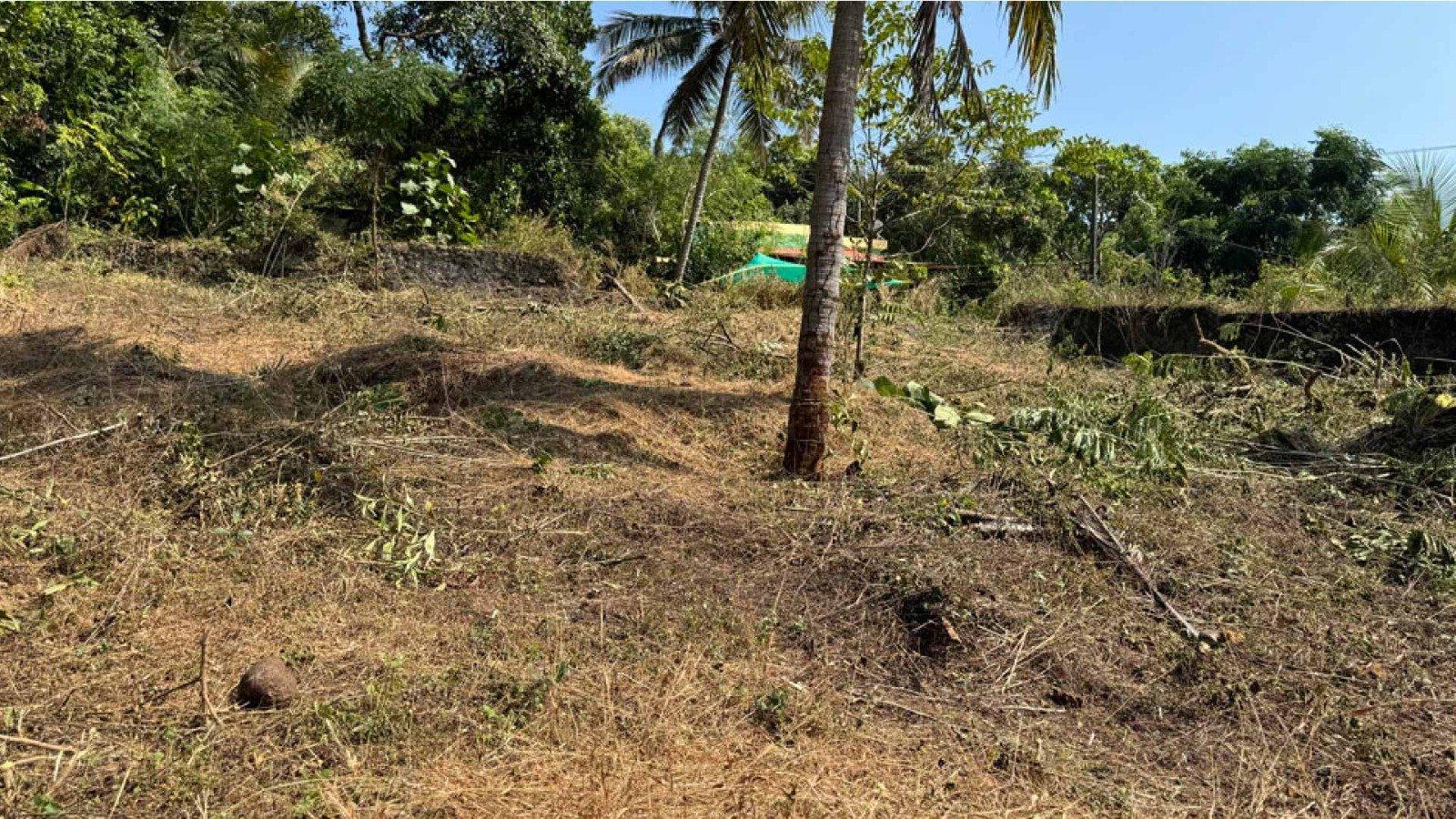 Plot At Mavunkal - Image 6