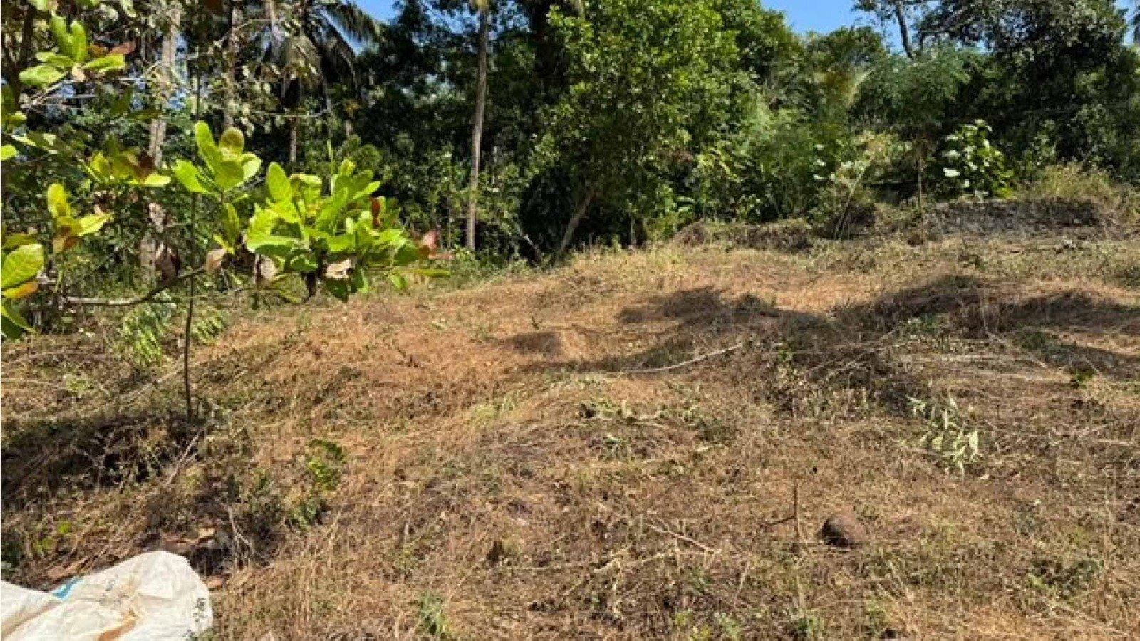 Plot At Mavunkal - Image 5