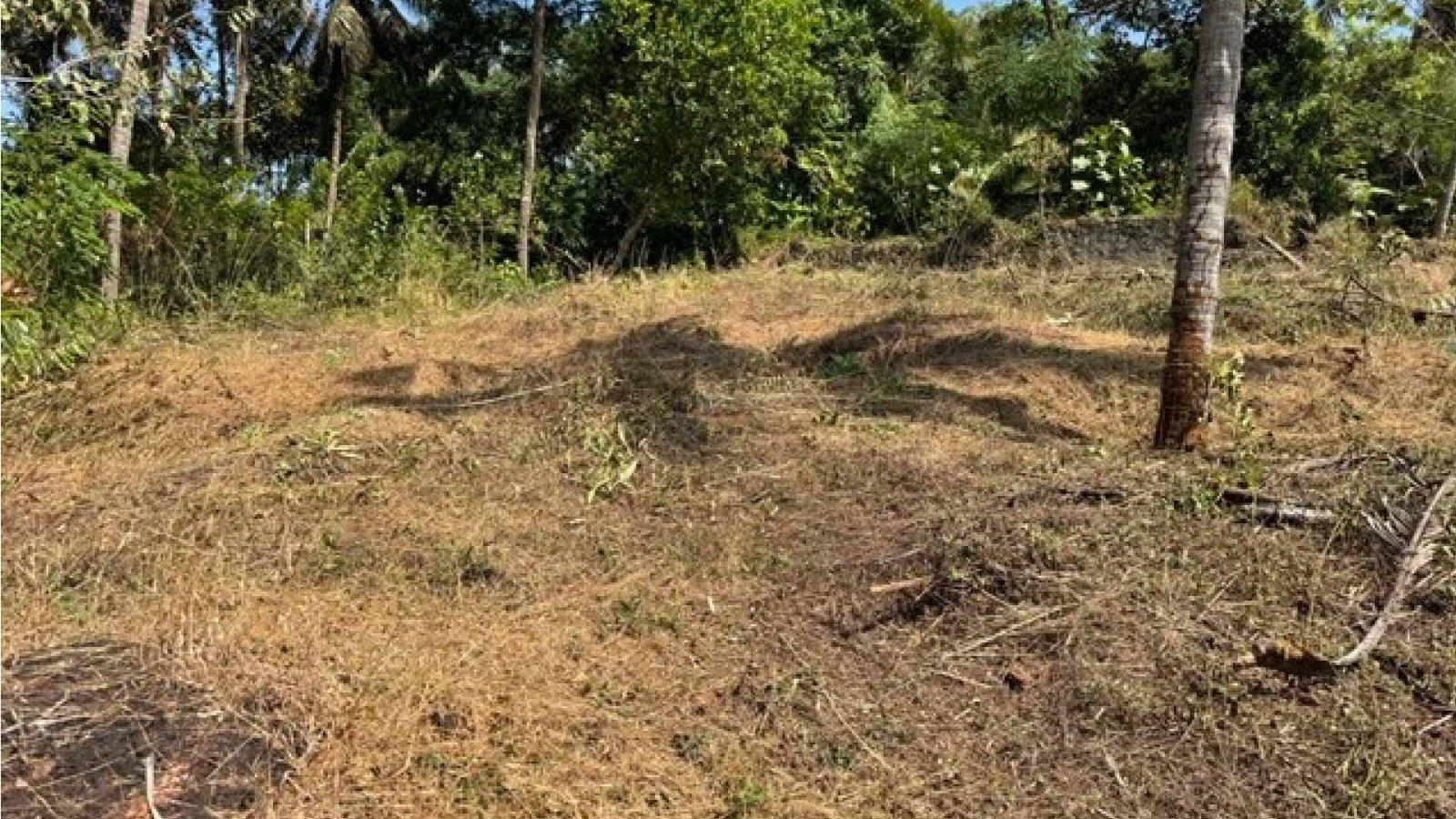 Plot At Mavunkal - Image 4