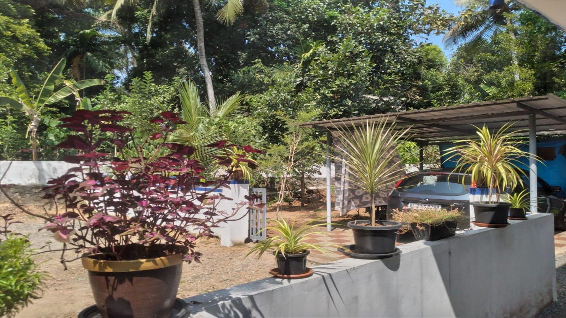 House for sale in Angamaly — photo 3
