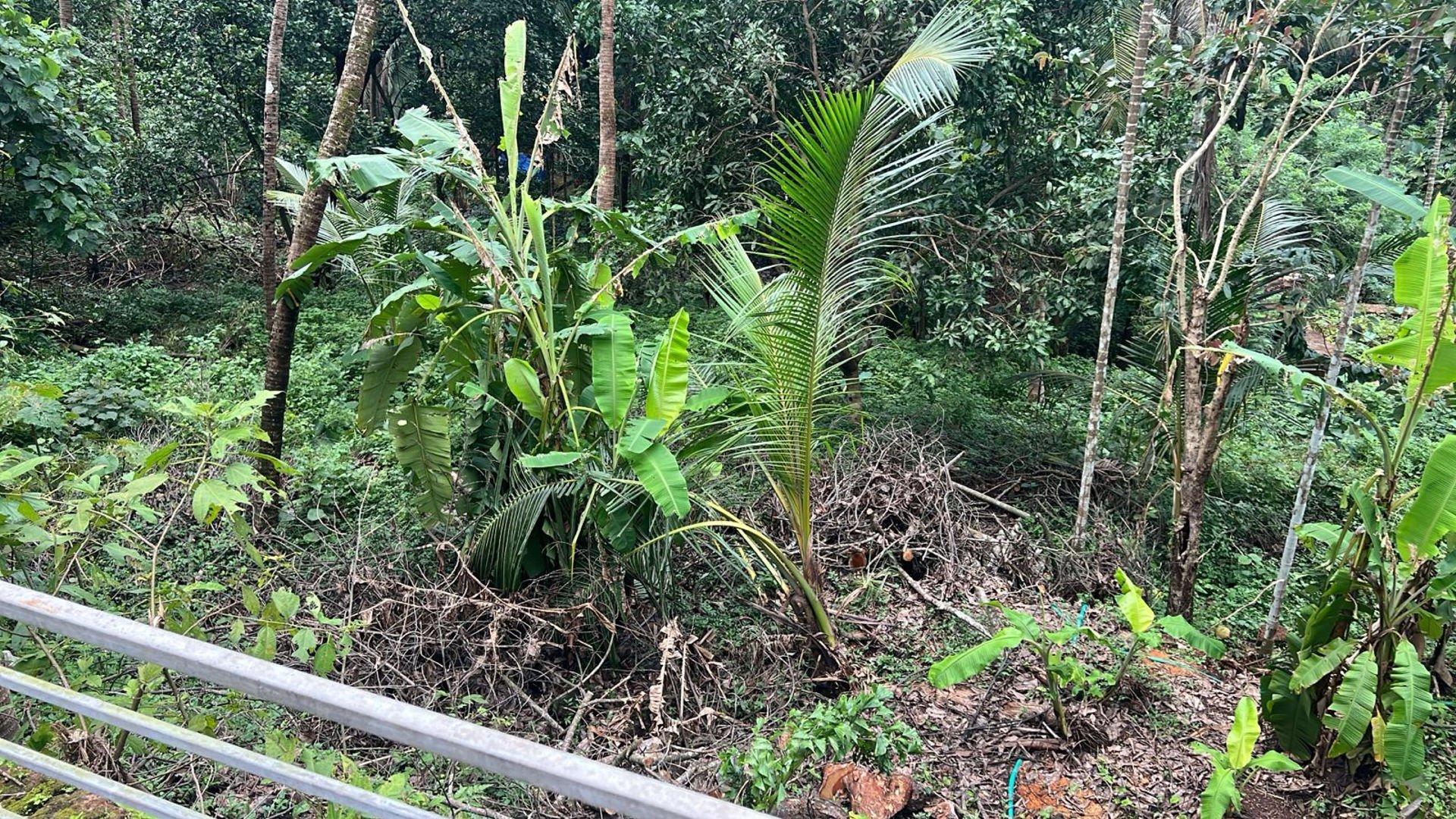 House in Kasargode — photo 8