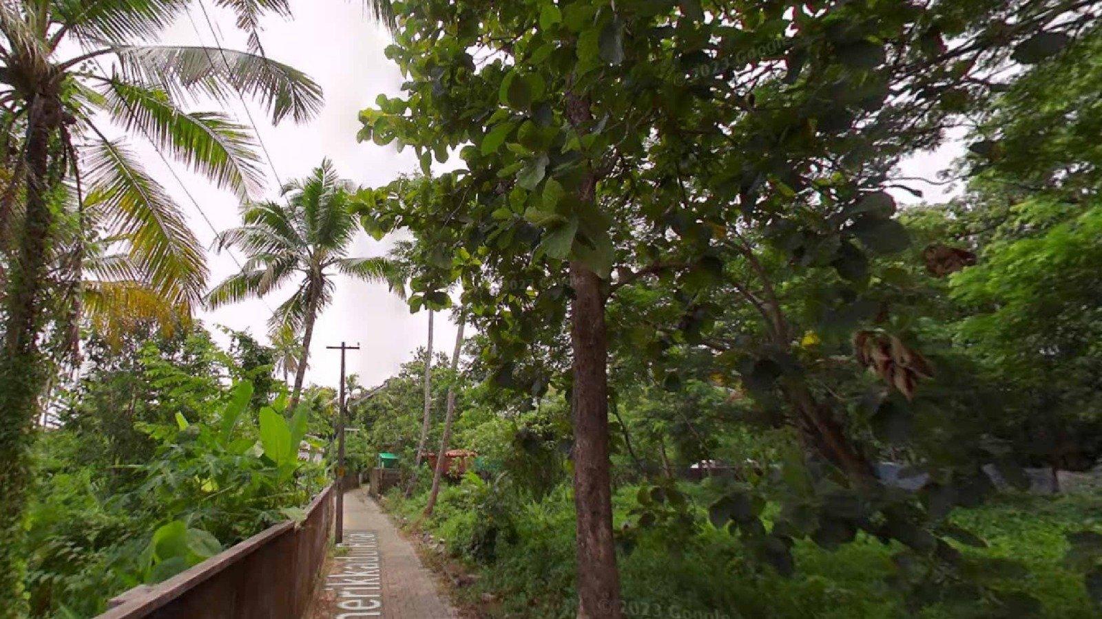 Campus Heights - Image 4