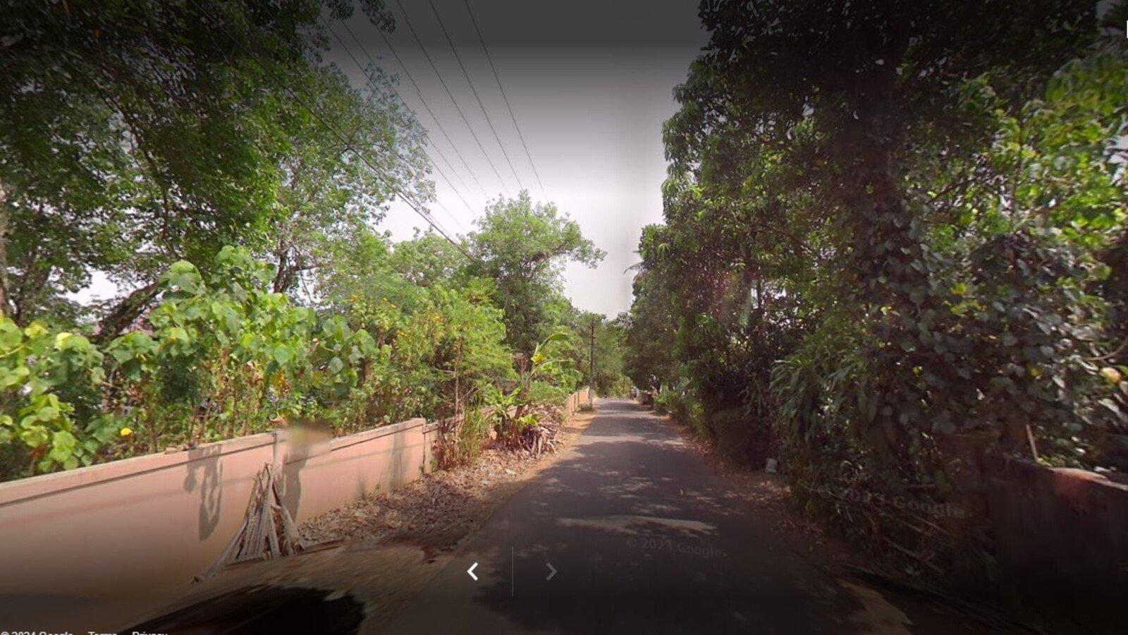 Bougain Villa — photo 11